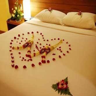 Hotel Raj Golden, Palampur 3